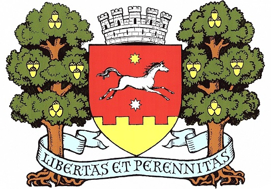 Герб міста Орхей, Республіка Молдова